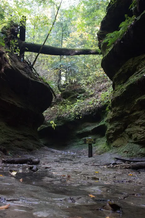 Turkey Run Canoe & Camping Picture 4