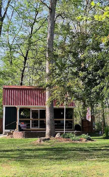 Healing View Cabin LLC Picture 5