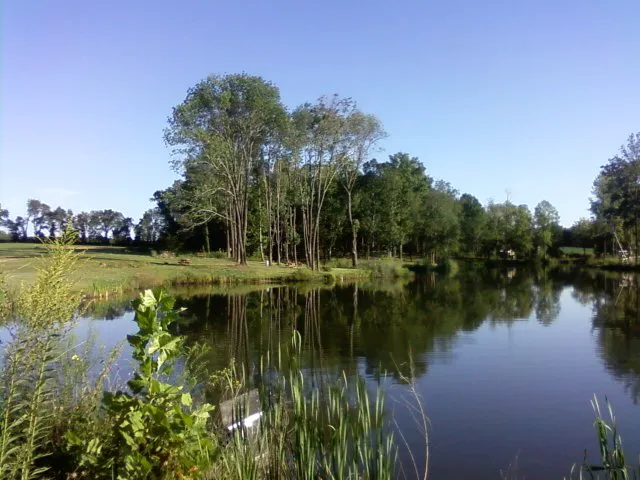 Peaceful Waters Campground Picture 6