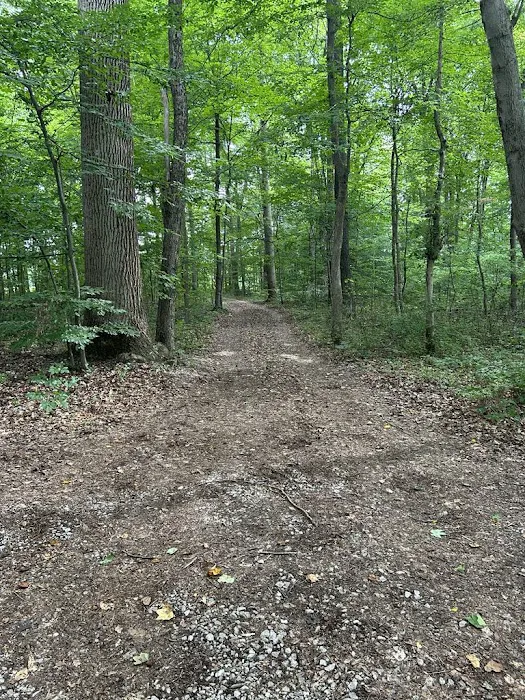 Eric's Guest Cabin Picture 2