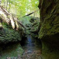 Fallen Rock Park Restaurant ico
