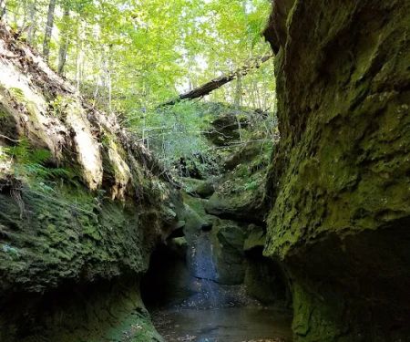 Fallen Rock Park Restaurant