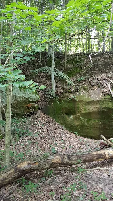 Fallen Rock Park Restaurant Picture 8