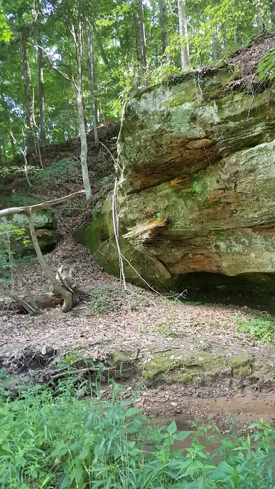 Fallen Rock Park Restaurant Picture 7