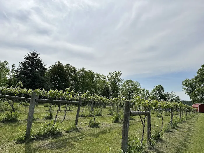 Fallen oak campground and vineyard llc Picture 1
