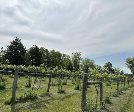 Fallen oak campground and vineyard llc