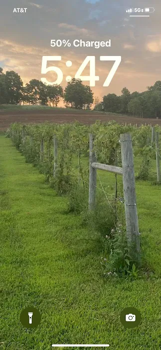 Fallen oak campground and vineyard llc Picture 4