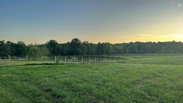 Fallen oak campground and vineyard llc Picture 9