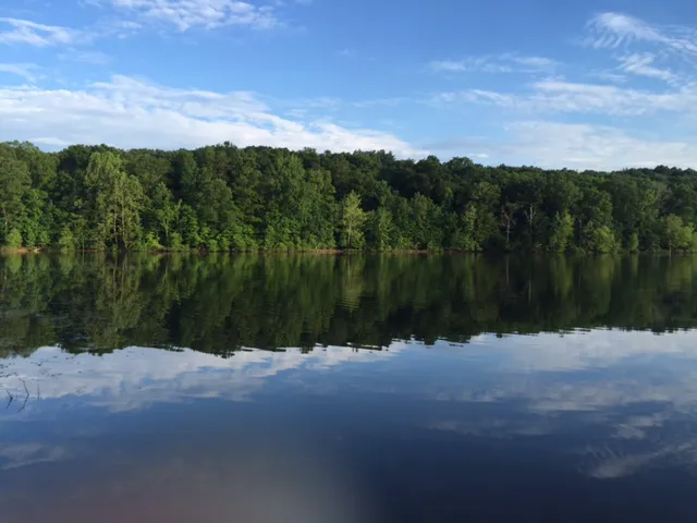 Tipsaw Recreation Area Picture 1