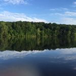 Tipsaw Recreation Area