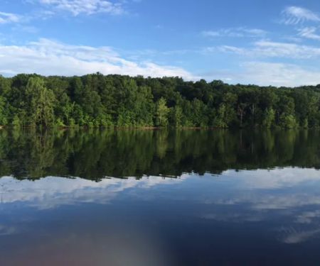 Tipsaw Recreation Area