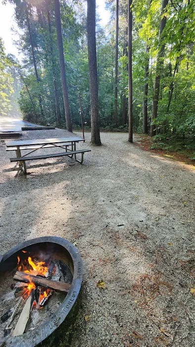 Tipsaw Lake Recreation Area Picture 6