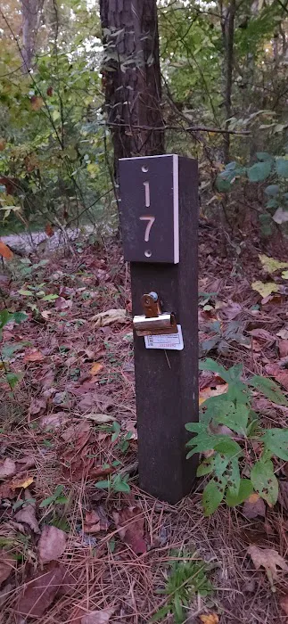 German Ridge Campground Picture 5