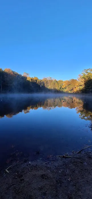 German Ridge Campground Picture 9
