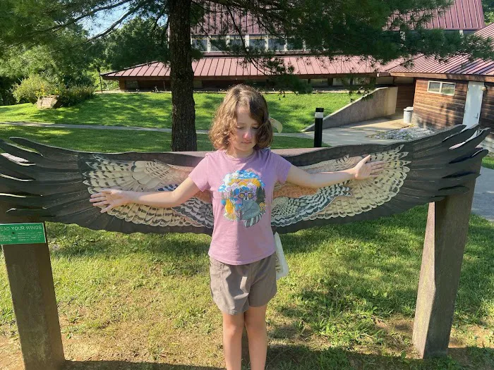 Patoka Lake Fisherman's Campground Picture 6