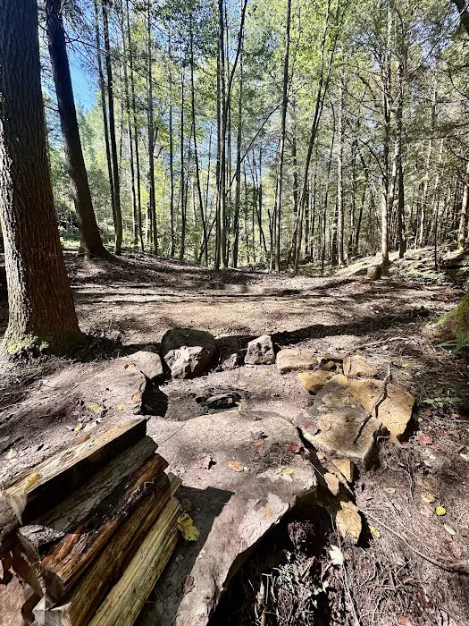 Rustling Pines Campground Picture 4