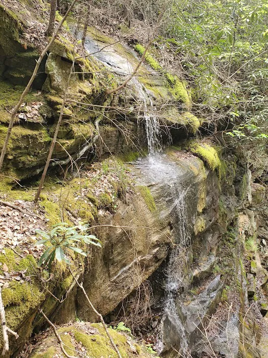 Bee Rock Campground Picture 6