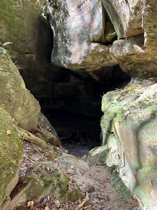 Bee Rock Campground Picture 9