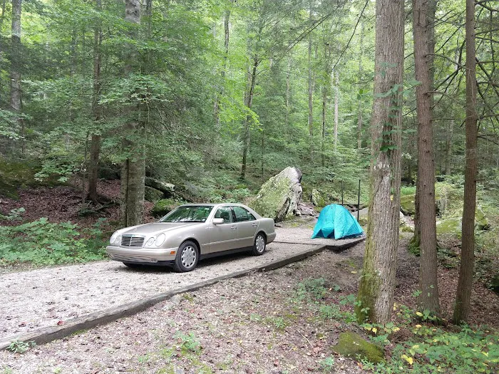 Bee Rock / Rockcastle Rapids Trail Head Picture 4