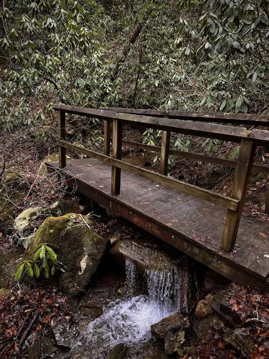 Bee Rock / Rockcastle Rapids Trail Head Picture 3