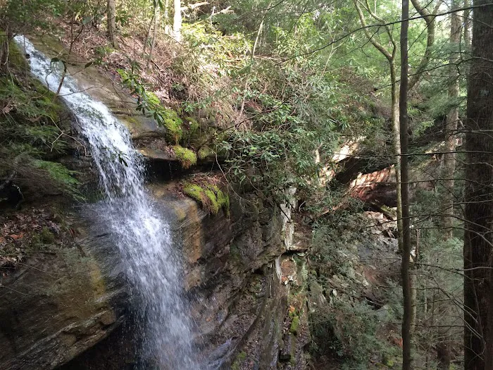 Bee Rock / Rockcastle Rapids Trail Head Picture 6