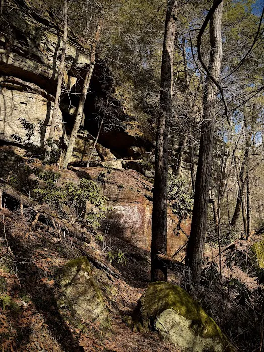 Bee Rock / Rockcastle Rapids Trail Head Picture 5