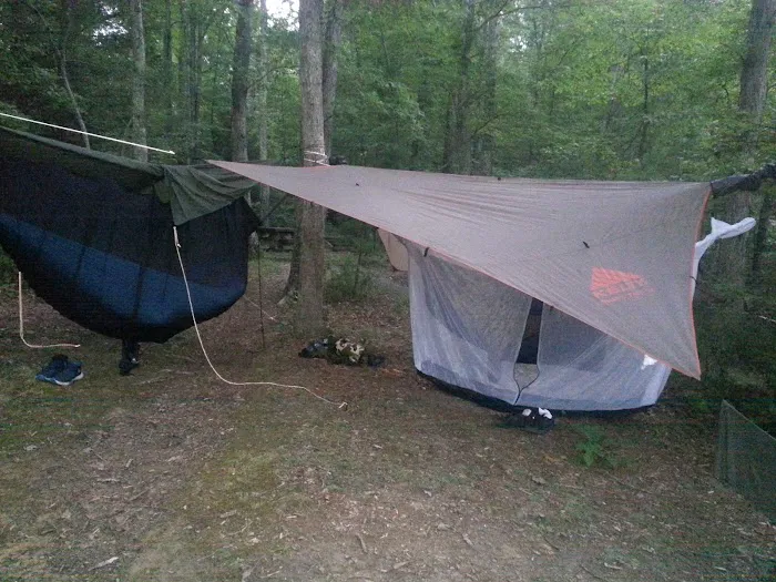 White Oak Boat-In Campground Picture 6