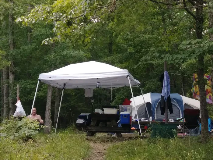 White Oak Boat-In Campground Picture 10