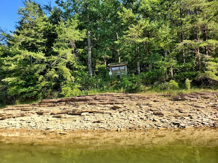 White Oak Boat-In Campground Picture 8