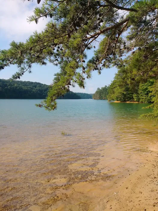 White Oak Boat-In Campground Picture 9
