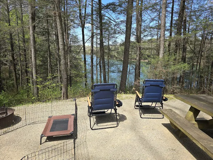 Holly Bay Campground Picture 1
