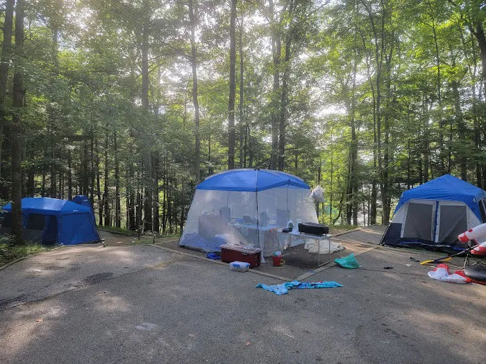 Holly Bay Campground Picture 1