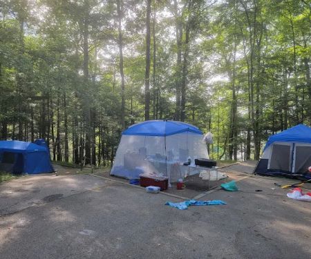 Holly Bay Campground