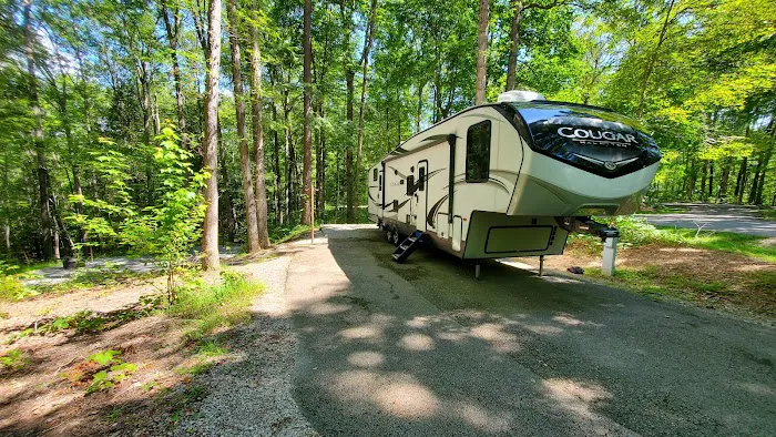 Holly Bay Campground Picture 4