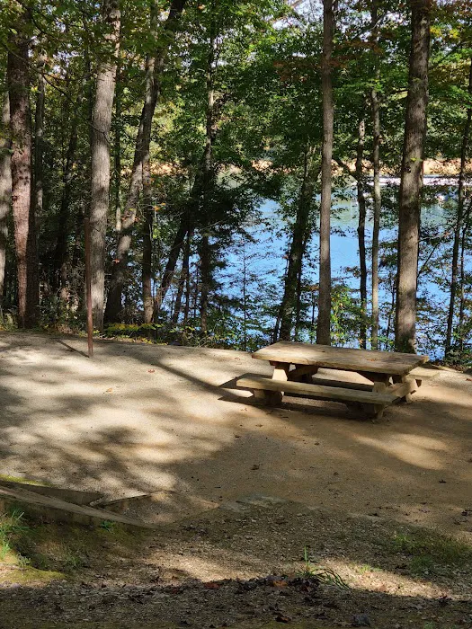 Holly Bay Campground Picture 8