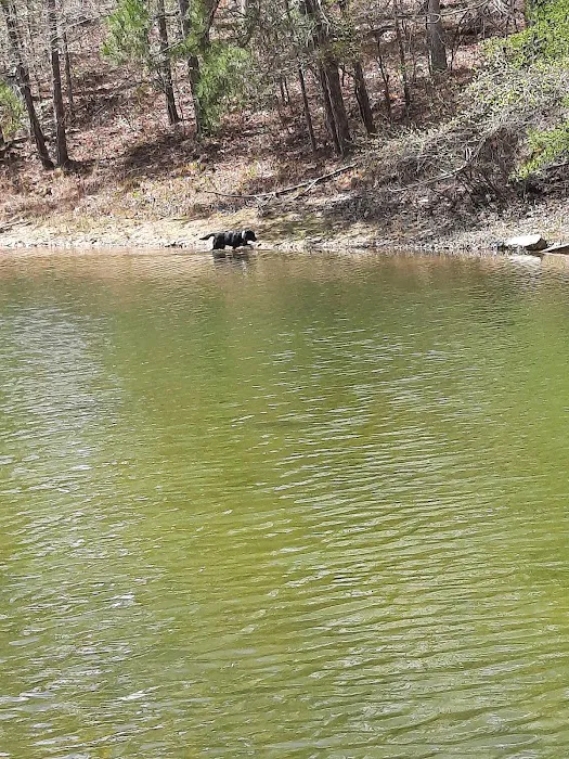 U.S. Army Corps of Engineers Laurel River Lake Picnic Area Picture 5