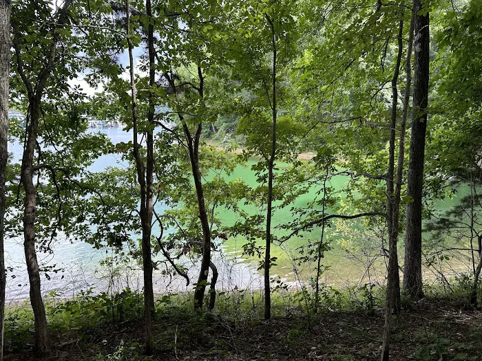 U.S. Army Corps of Engineers Laurel River Lake Picnic Area Picture 4