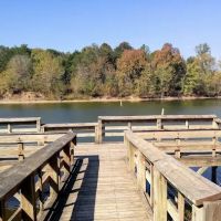 Dog Creek Campground ico