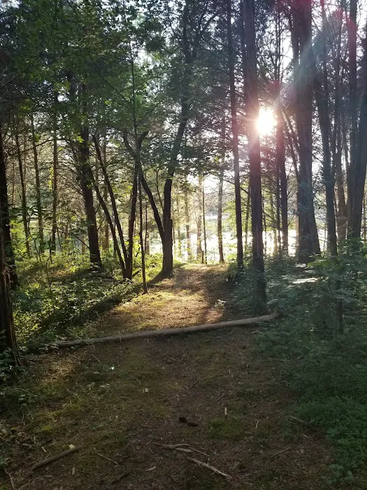 Dog Creek Campground Picture 10