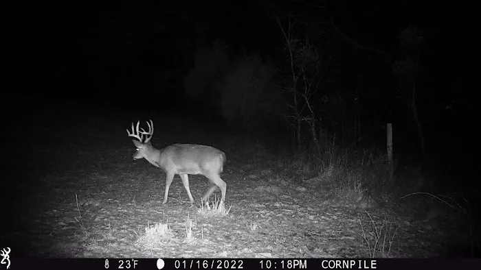 Mollys Ridge Picture 8
