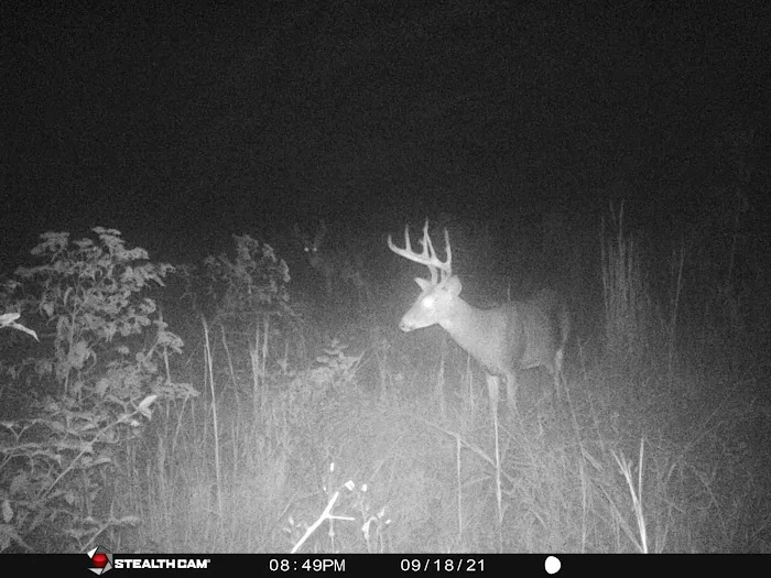 Mollys Ridge Picture 7