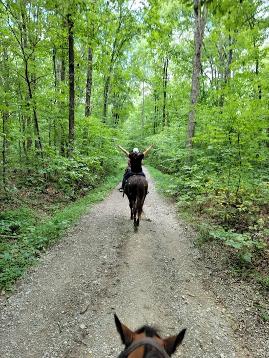 Double J Stables and Campgrounds Picture 3