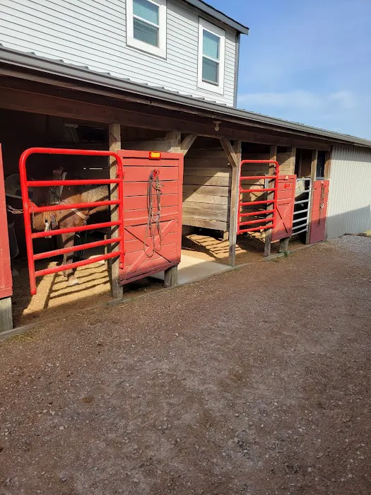 Double J Stables and Campgrounds Picture 10