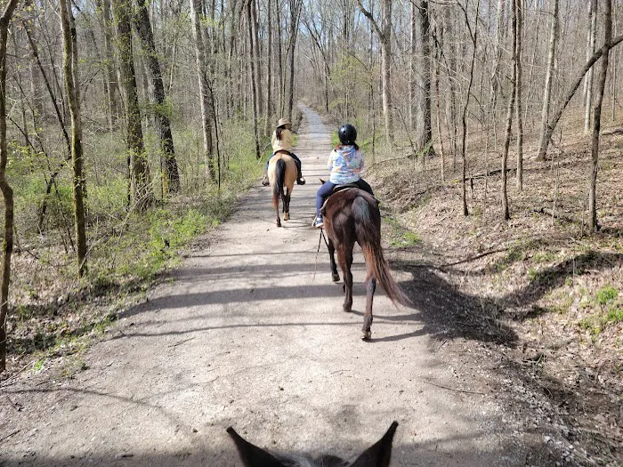 Double J Stables and Campgrounds Picture 7