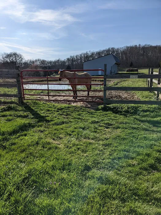 Double J Stables and Campgrounds Picture 8
