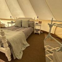 Noble Pine Cabins, Glamping, & Horse Camp ico