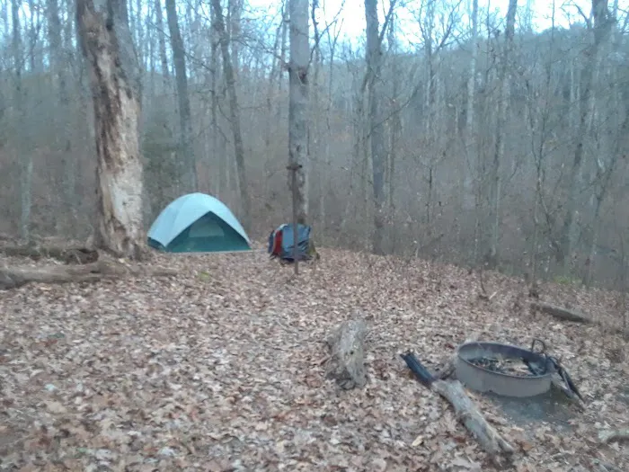 Ferguson Campground Picture 2