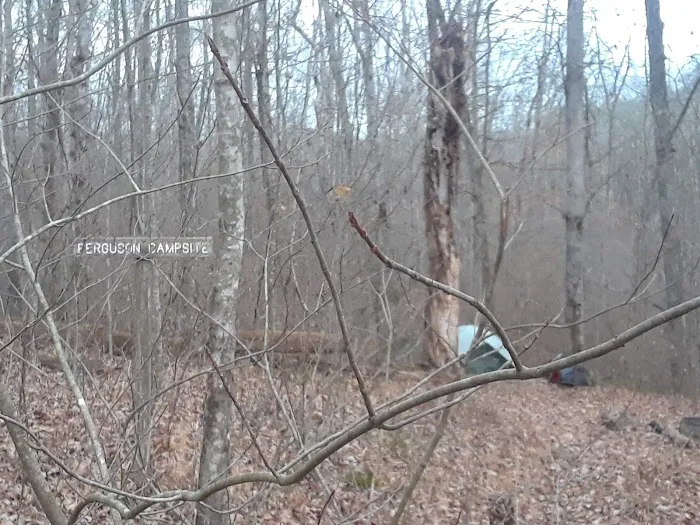 Ferguson Campground Picture 1