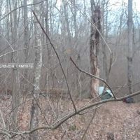 Ferguson Campground ico