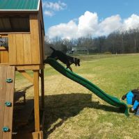 Brier Creek Campground ico